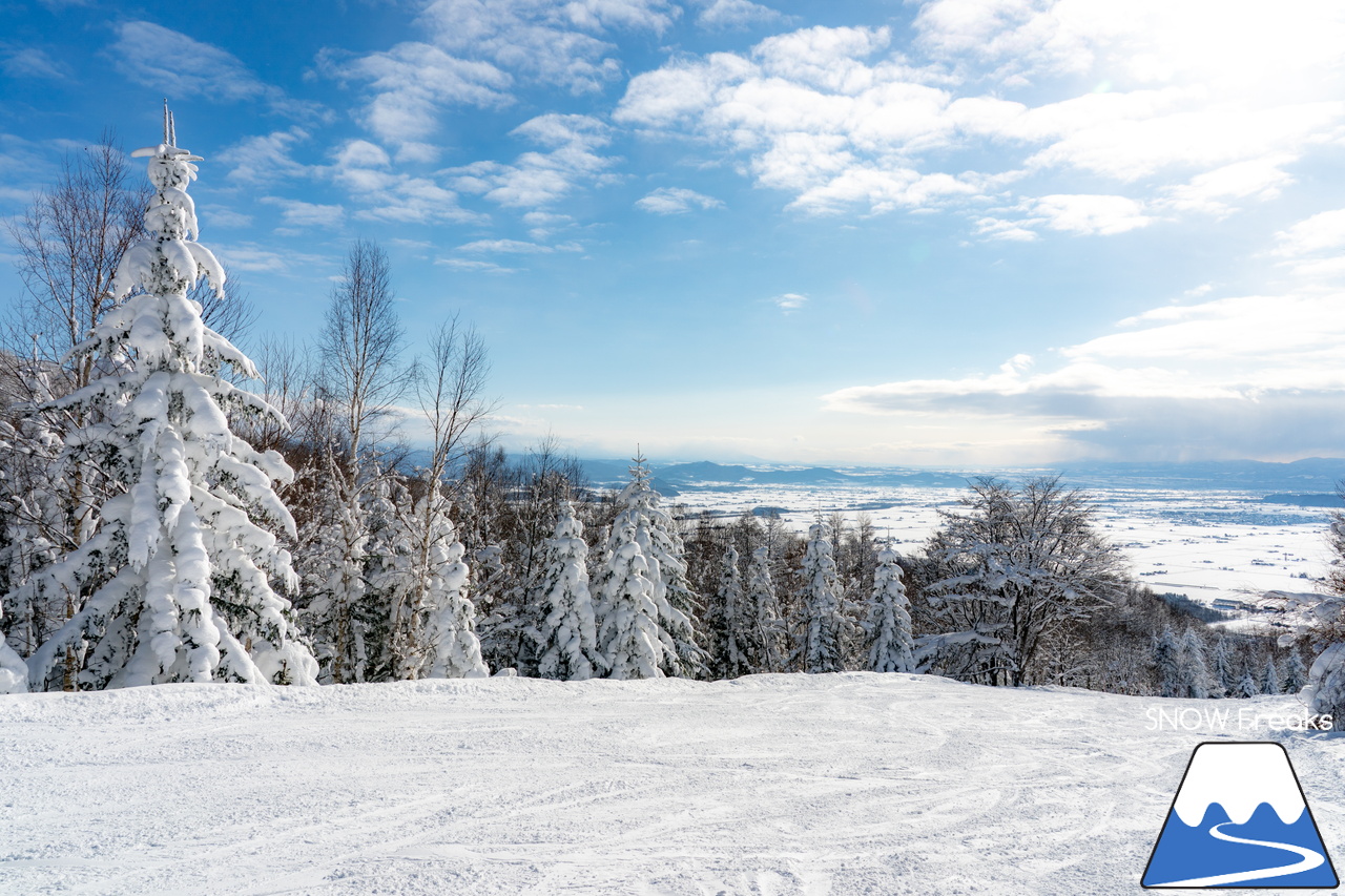 ぴっぷスキー場｜旭川紋別自動車道・比布北インターを降りたら約３分で到着。良質な雪、多彩なコース、抜群の眺望、美味しいグルメ、アフタースキーに温泉も。。。とっても高い満足度を誇るローカルゲレンデを滑ります(^^)/